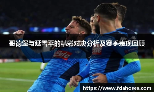 哥德堡与延雪平的精彩对决分析及赛季表现回顾